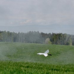 img_0425 beda kouzelna hulka - pristavani wr